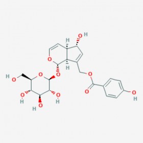 慧花牡荆苷 穗花牡荆苷 Agnuside 11027-63-7