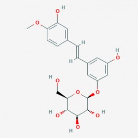 土大黄苷 Rhapontin 155-58-8