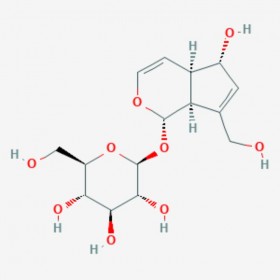 桃叶珊瑚苷 杜仲苷 Aucubin Aucubine 479-98-1