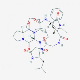 太子参环肽B Heterophyllin B 145459-19-4