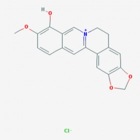 小檗红碱 Berberrubine 15401-69-1