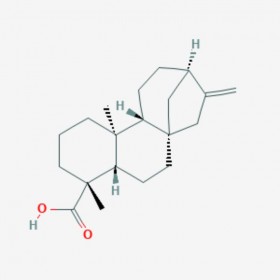 异贝壳杉烯酸 Kaurenoic acid 6730-83-2