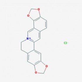 盐酸黄连碱 氯化黄连碱 Coptisine chloride 6020-18-4