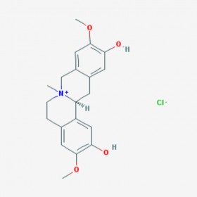 盐酸黄柏碱 黄柏碱盐酸盐 Phellodendrine chloride 104112-82-5