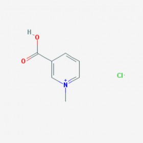 葫芦巴碱盐酸盐 盐酸葫芦巴碱 Trigonelline Hydrochloride 6138-41-6