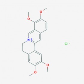 盐酸巴马汀 黄藤素  Fibrauretin 10605-02-4