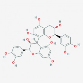 原花青素B1 原失车菊素B1 Proanthocyanidin B1 20315-25-7