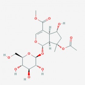 8-O-乙酰山栀苷甲酯 Barlerin 57420-46-9  8-O-Acetyl shanzhiside methyl ester