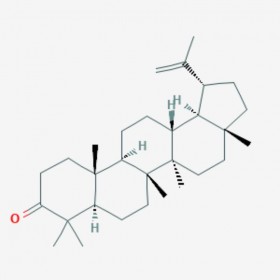 羽扇烯酮 Lupenone 1617-70-5