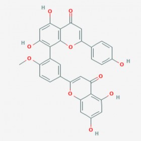 白果双黄酮 银杏双黄酮 银杏素  Ginkgetin 481-46-9