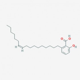 银杏酚酸（17:1） 银杏酸GA17：1 Ginkgolic acid 17:1 111047-30-4