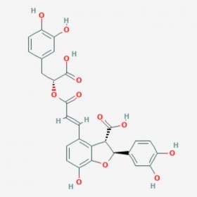 紫草酸 lithospermic acid 28831-65-4