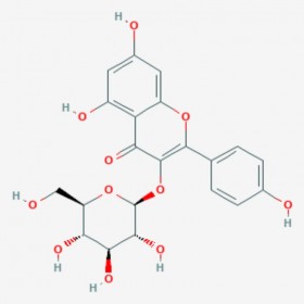 紫云英苷 紫云英甙 莰非醇-3-O-葡萄糖苷 山奈酚-3-O-葡萄糖苷 黄芪苷 Astragaline 480-10-4