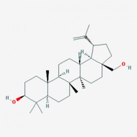 白桦脂醇 桦木醇 桦木脑 Betulin