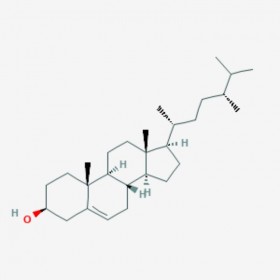 菜油甾醇  芸苔甾醇 Ca mpasterol