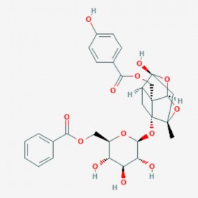 苯甲酰氧化芍药苷 Benzoyloxypaeoniflorin 72896-40-3 C30H32O13