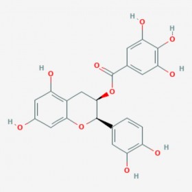 表儿茶素没食子酸酯 (-)-Epicatechin gallate 1257-08-5 C22H18O10