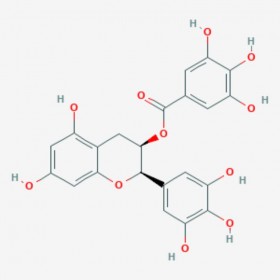 表没食子儿茶素没食子酸酯 (-)-Epigallocatechin gallate 989-51-5 C22H18O11