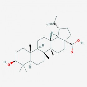 表白桦脂酸 3-Epibetulinic acid 38736-77-5 C30H48O3