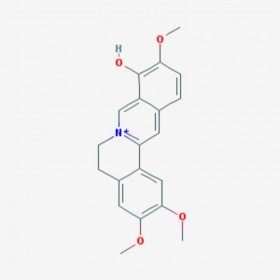 巴马亭红碱 Palmaturbine 16176-68-4 C20H20NO4