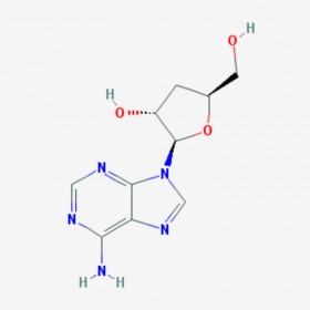 虫草素 Cordycepin 73-03-0 C10H13N5O3