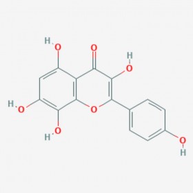 草质素 Herbacetin 527-95-7 C15H10O7