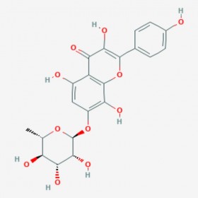 草质素苷 Rhodionin 85571-15-9 C21H20O11