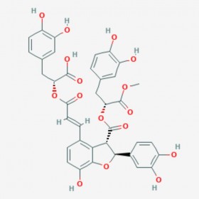 9''-丹酚酸B甲基酯 9'-Methyl salvianolate B 1167424-31-8 C37H32O16