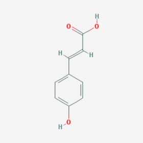 对羟基肉桂酸 Hydrocinnamic acid 501-52-0 C9H10O2