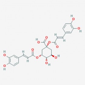 1,3-O-二咖啡酰奎宁酸 Cynarin 30964-13-7 C25H24O12