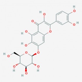 槲皮万寿菊苷 Quercetagitrin 548-75-4 C21H20O13