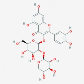 槲皮素-3-O-桑布双糖苷 Quercetin 3-Sambubioside 83048-35-5 C26H28O16