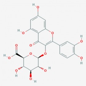 槲皮素-3-葡萄糖醛酸苷 Quercetin 3-O-β-D-Glucuronide 22688-79-5 C21H18O13