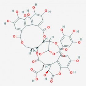 诃子鞣酸 Chebulagic acid 23094-71-5 C41H30O27