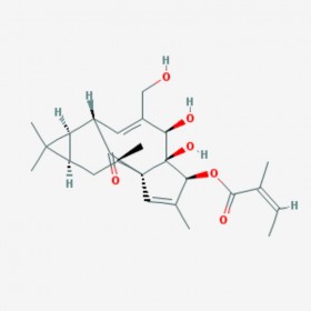 巨大戟醇-3-O-当归酸酯 Ingenol-3-angelate  75567-37-2 C25H34O6