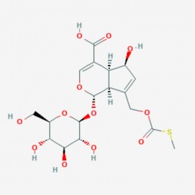 鸡屎藤苷酸 Paederosidic acid 18842-98-3 C18H24O12S