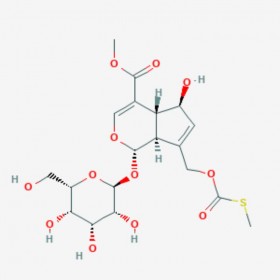 鸡屎藤苷酸甲酯 Paederosidic acid methyl ester 122413-01-8 C19H26O12S