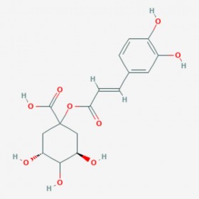 1-咖啡酰奎宁酸 1-Caffeoylquinic acid 1241-87-8 C16H18O9