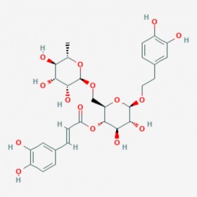 连翘酯苷A Forsythoside A 79916-77-1 C29H36O15