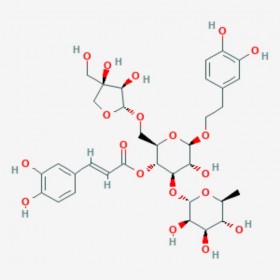 连翘酯苷B Forsythoside B 81525-13-5 C34H44O19