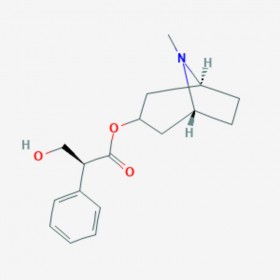 莨 菪 碱 L-Hyoscyamine 101-31-5 C17H23NO3