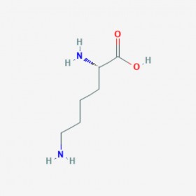 赖氨酸 L-Lysine 56-87-1 C6H14N2O2