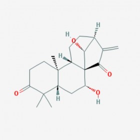 蓝萼甲素 Glaucocalyxin A 79498-31-0 C20H28O4