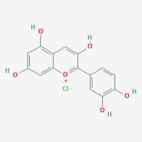 氯化矢车菊素 Cyanidin Chloride 528-58-5 C15H11O6.Cl