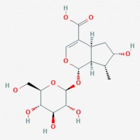 马钱苷酸 Loganic acid 22255-40-9 C16H24O10