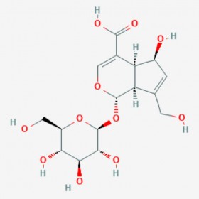 去乙酰基车叶草苷酸 Deacetylasperulosidic acid 14259-55-3 C16H22O11