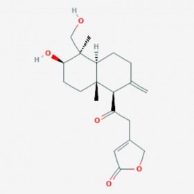 4-去氧-11-氧化穿心莲内酯 14-Deoxy-11-oxoandrographolide 42895-57-8 C20H28O5