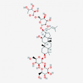 人参皂苷Rb2 GINSENOSIDE RB2 11021-13-9 C53H90O22