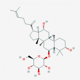 人参皂苷Rk3 Ginsenoside Rk3 364779-15-7 C36H60O8