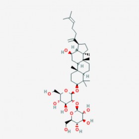 人参皂苷Rk1 Ginsenoside Rk1 494753-69-4 C42H70O12